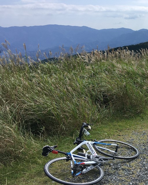 2020-10-06 11.33.33.jpg